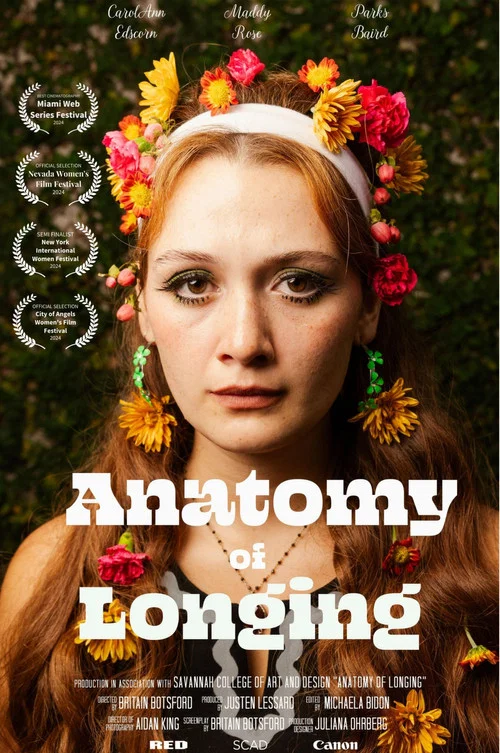 Anatomy of Longing постер