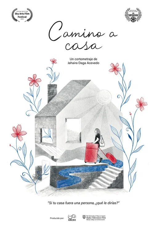 Camino a casa постер