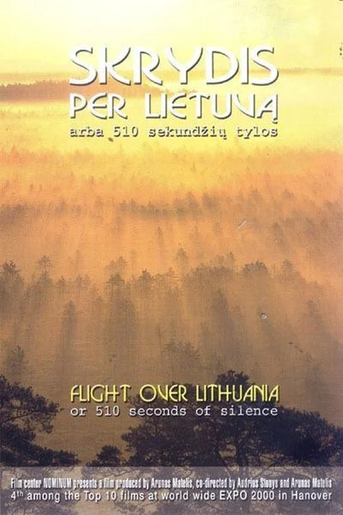 Skrydis per Lietuvą arba 510 sekundžių tylos постер