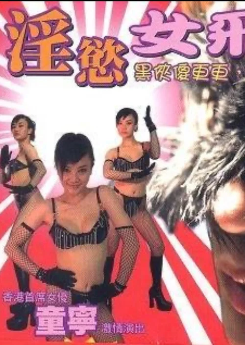 淫欲女飛賊 постер