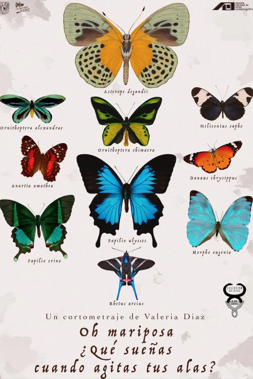 ¡Oh Mariposa! ¿Qué sueñas cuando agitas tus alas? постер