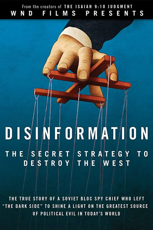 Disinformation постер