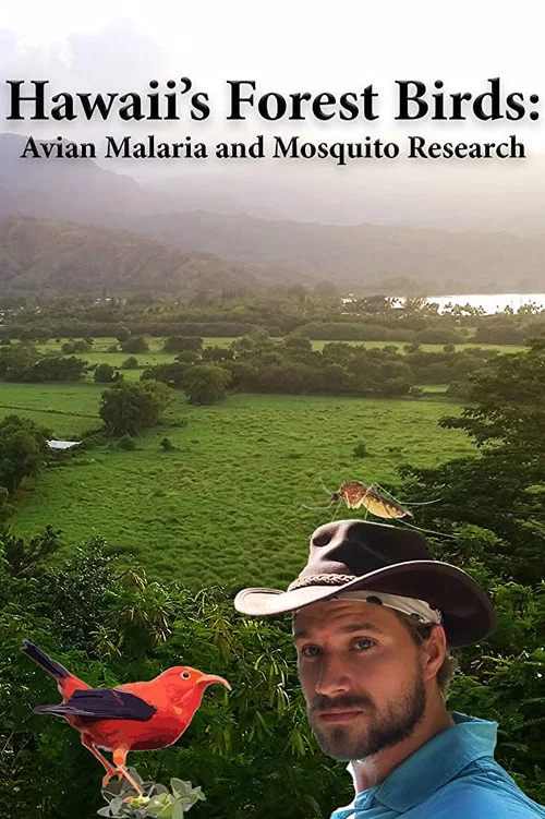 Hawaii's Forest Birds: Avian Malaria and Mosquito Research постер