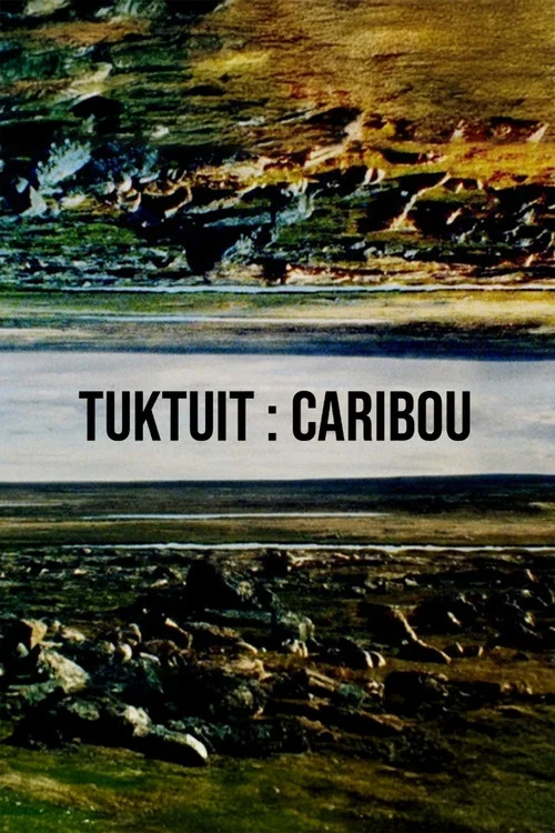 Tuktuit: Caribou постер