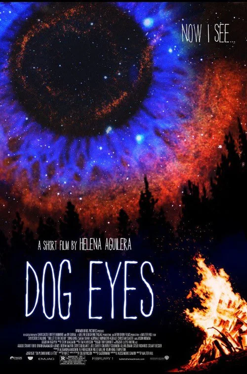 Dog Eyes постер
