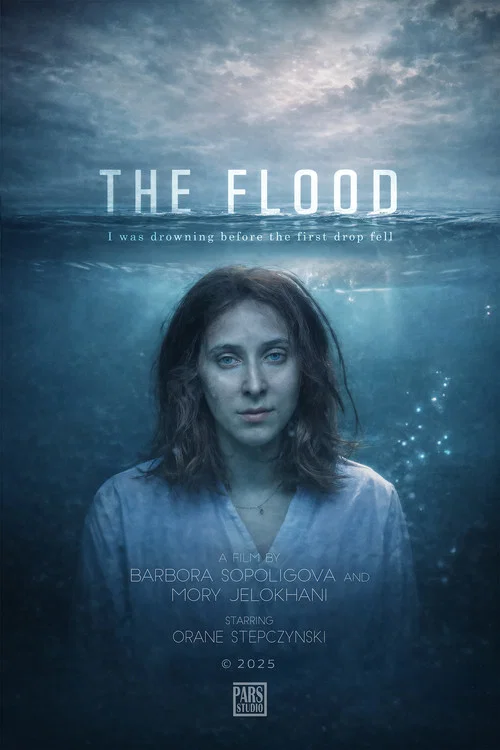 The Flood постер