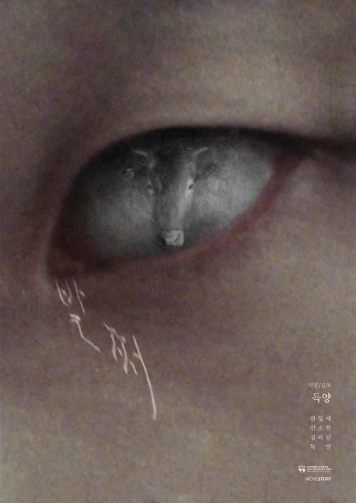 발쩌 постер