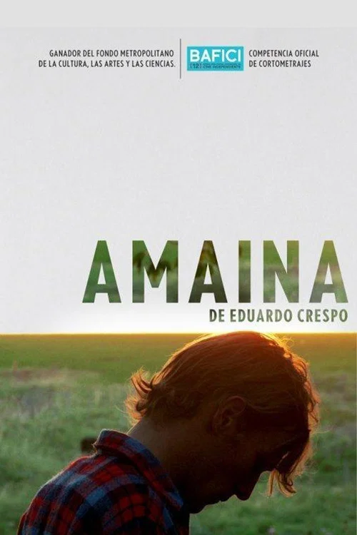 Amaina постер