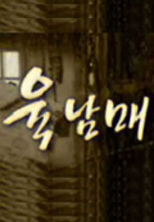 육남매 постер
