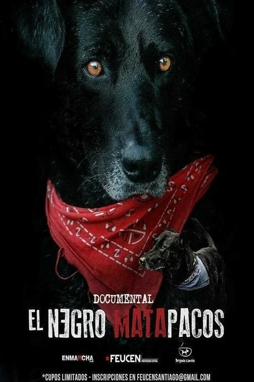 Matapaco постер