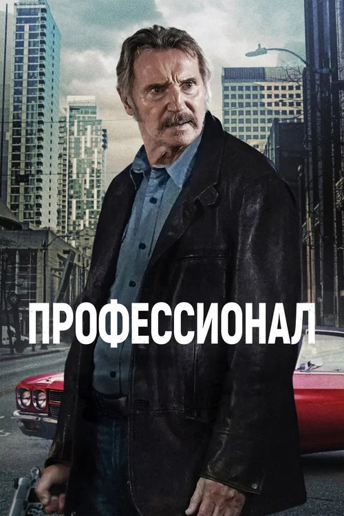 Профессионал постер