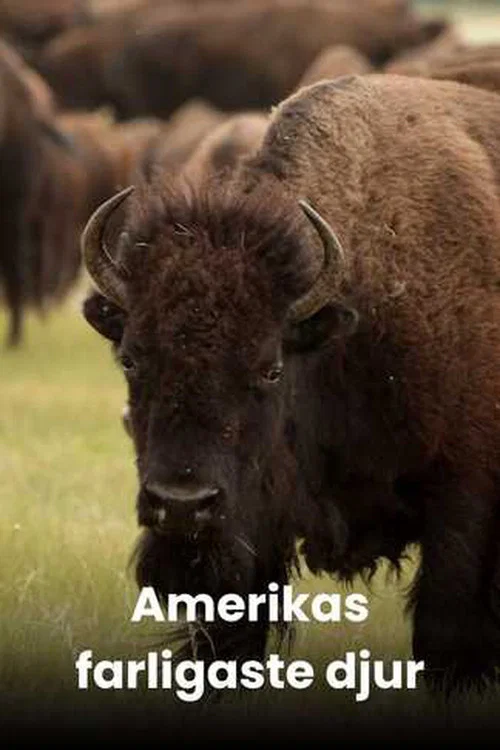 America's Deadliest постер