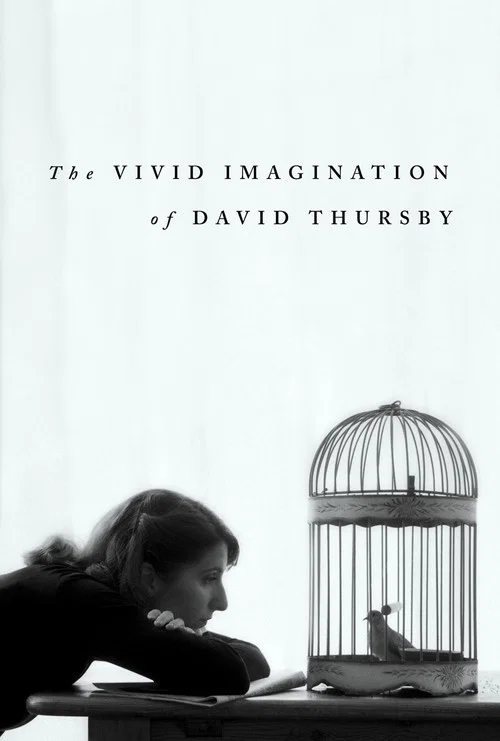 The Vivid Imagination of David Thursby постер