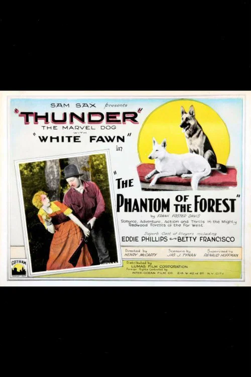 The Phantom of the Forest постер