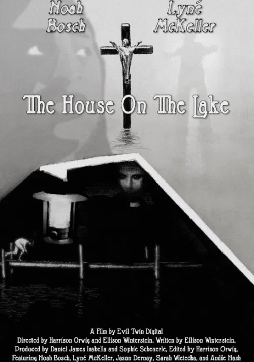 The House On The Lake постер