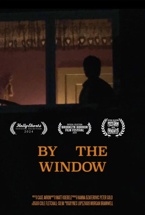 By The Window постер