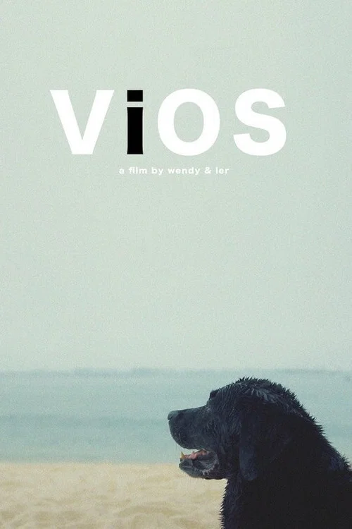 Vios постер