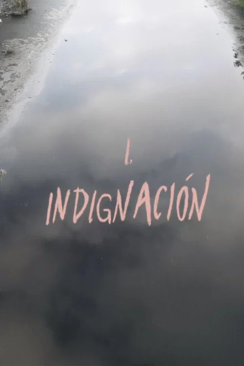 Indignación постер
