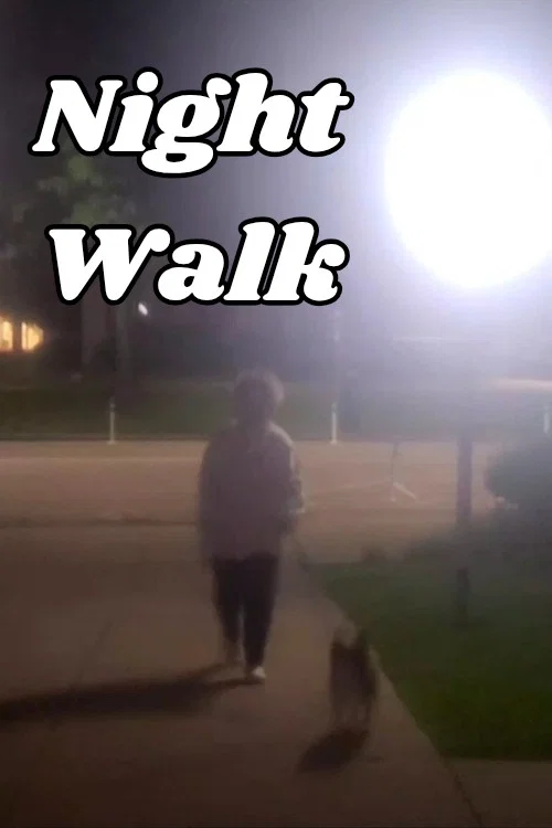 Night Walk постер