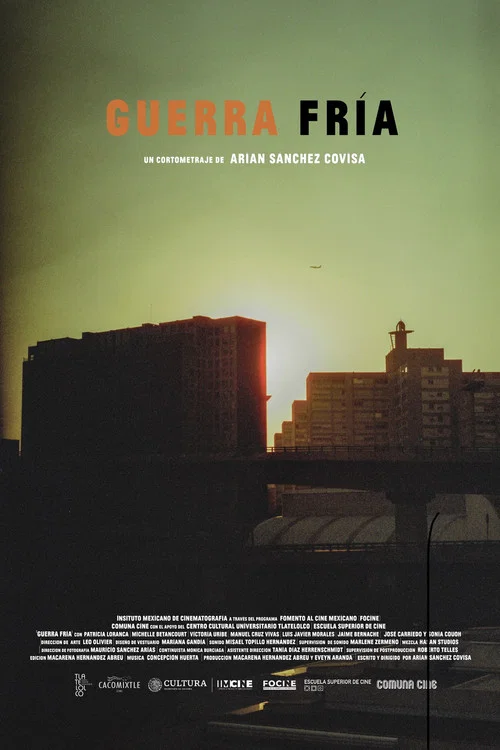 Guerra fría постер