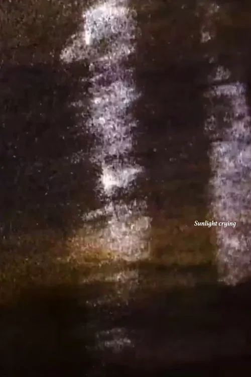 Sunlight Crying постер