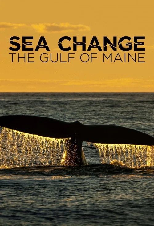 Sea Change: The Gulf of Maine постер