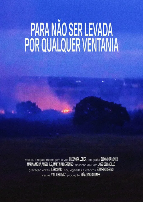 Para não ser levada por qualquer ventania постер