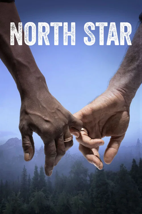 North Star постер