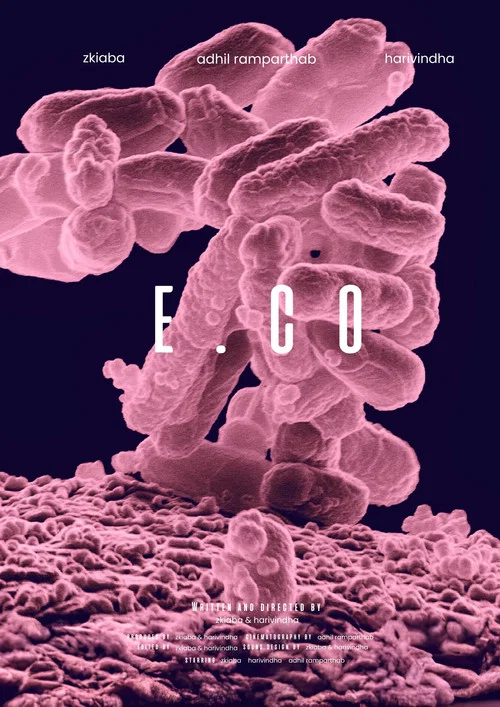 e. co постер