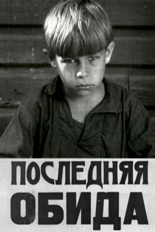 Последняя обида постер