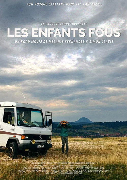Les enfants fous постер