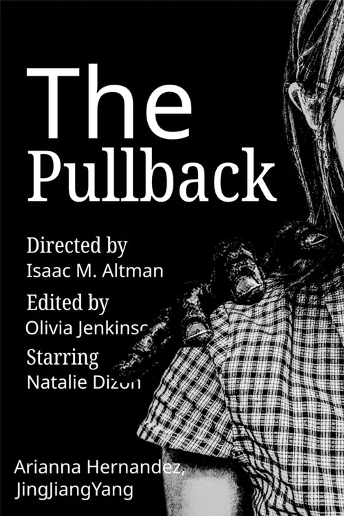 The Pullback постер