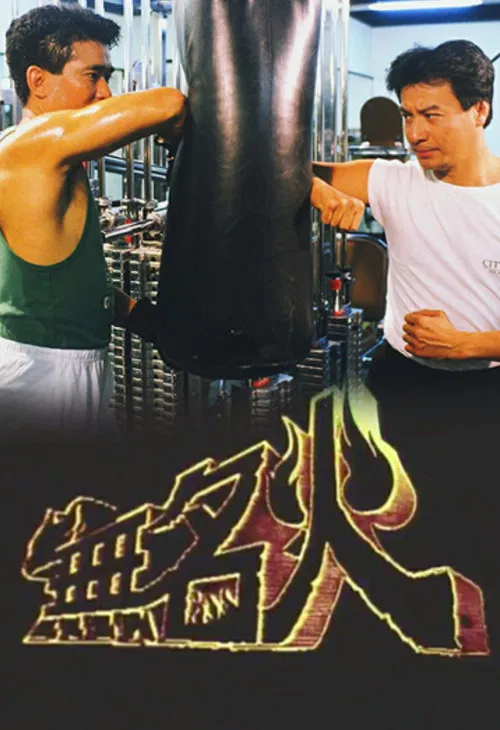 無名火 постер