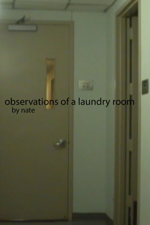 Observations of a laundry room постер