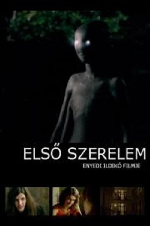 Első szerelem постер