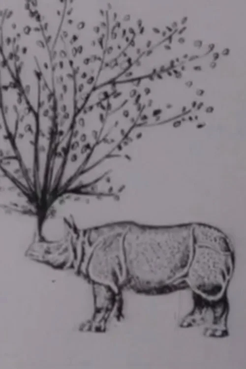 Rhinomorphose постер