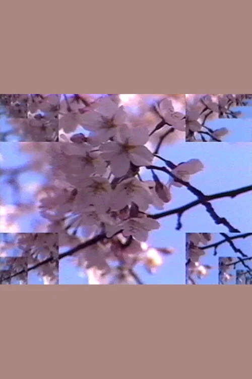 Rock Video: Cherry Blossom постер