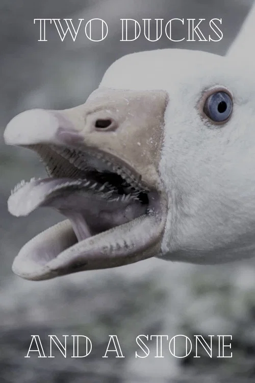 Two Ducks and a Stone постер