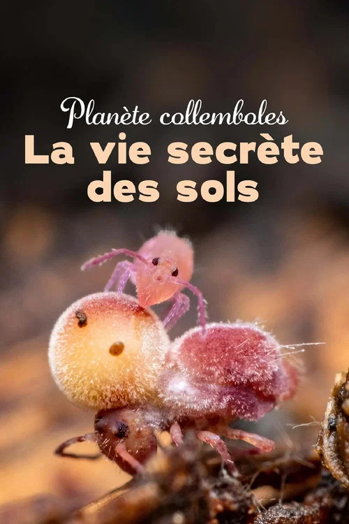 Planète collemboles : la vie secrète des sols постер