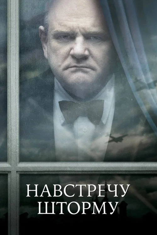 Навстречу шторму постер