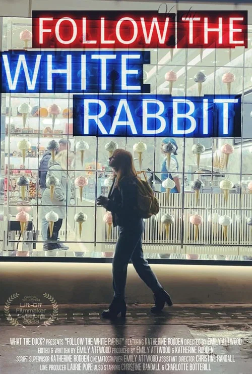 Follow the White Rabbit постер