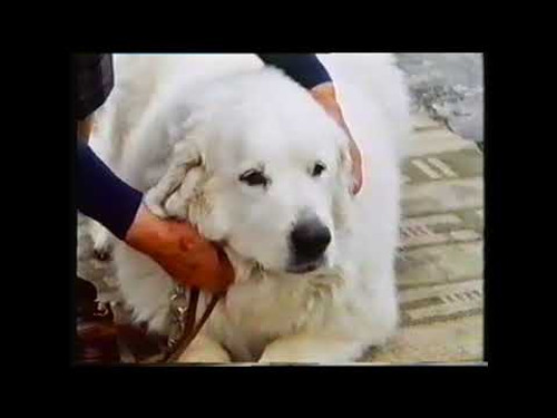 Эпизод 4