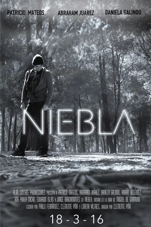 Niebla постер