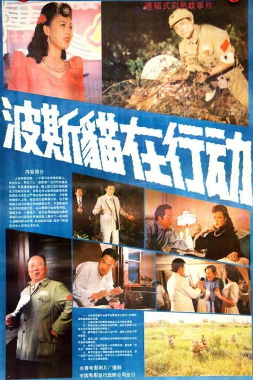 波斯猫在行动 постер