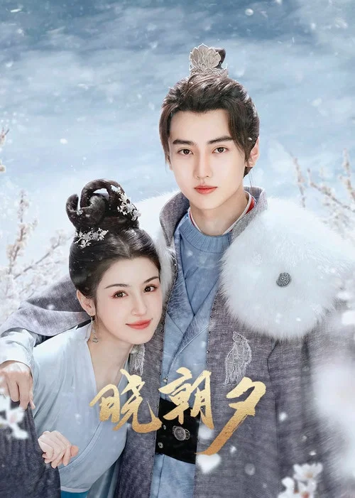 晓朝夕 постер