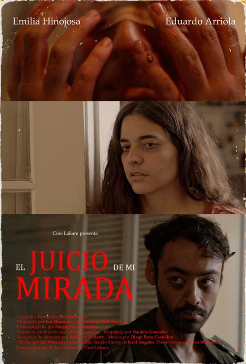 El juicio de mi mirada. постер