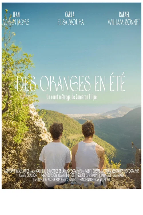 Des oranges en été постер
