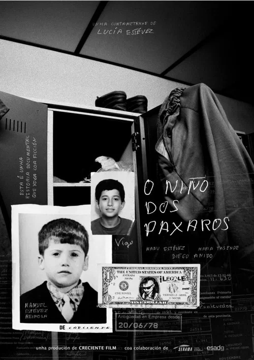 O niño dos paxaros постер