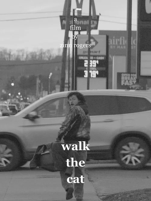 Walk the Cat постер