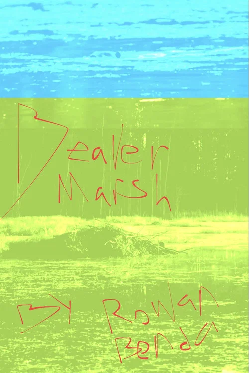 Beaver Marsh постер